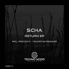 Scha - TWIN (Volkstum Remix)