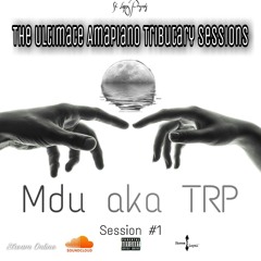 Tribute to Mdu aka TRP  (Lockdown Mix by St Lopez)