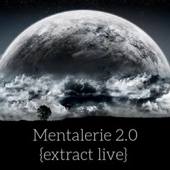 Mr°Bibite - Mentalerie 2.0 {extract live}