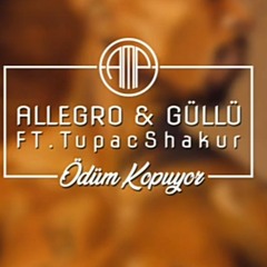 Stream Allegro Prod. _ Müslüm Gürses FT.TupacShakur - Sig(MP3_160K).mp3 by  Tuana Aydın
