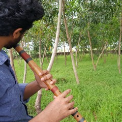 Raga Yaman on Flute