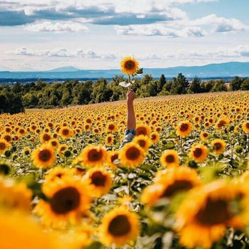 अधूरा इश्क़ ~ रिया चतुर्वेदी