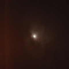 Lectro Elle - Би жаргалтай байна