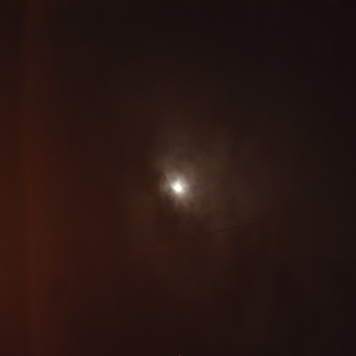 Lectro Elle - Би жаргалтай байна