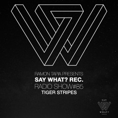 Say What? Recordings Radio Show 085 | Tiger Stripes