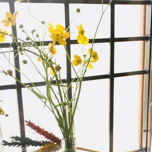 Tibetan song 2019 གཅེན་མོ་ལགས། by ནོར་བུ་བསམ་འགྲུབ(M4A_128K).m4a