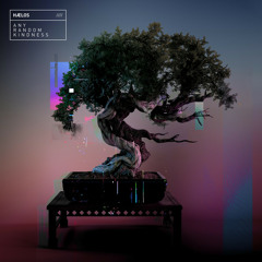 HÆLOS – Any Random Kindness