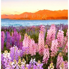 Te he puesto delante... (Dt. 30:19-20)