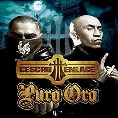 Primera Plana - Cescru Enlace