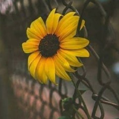 DJ Vibe Arabic Progressive Deep House mix 2018
