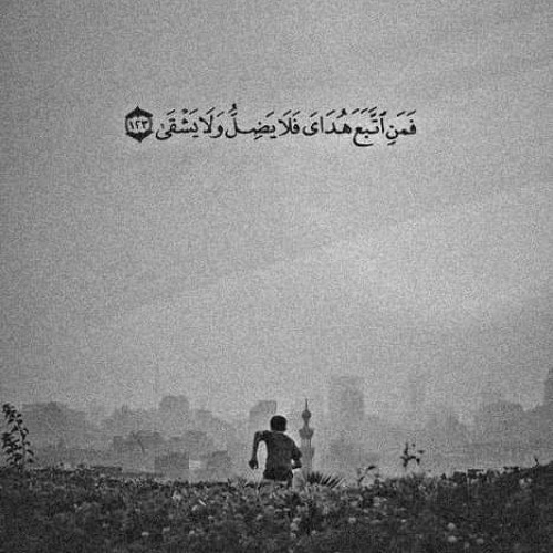 Stream فمن اتبّع هداي فلا يضل ولا يشقى! by Ayman Elezzawey | Listen online  for free on SoundCloud