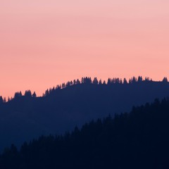 Vanny Vabiola - Benci Tapi Rindu