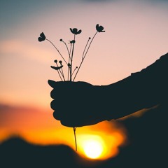 Vanny Vabiola - Gelas Gelas Kaca