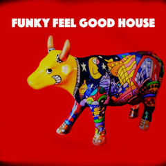 Funky Feel Good House : nu disco house. funky house. soulful house. classic house  French.Defecte