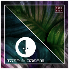 Arni - Atom (CUT)
