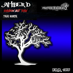 Random But Raw, Amber D - True North [Fruition Records]