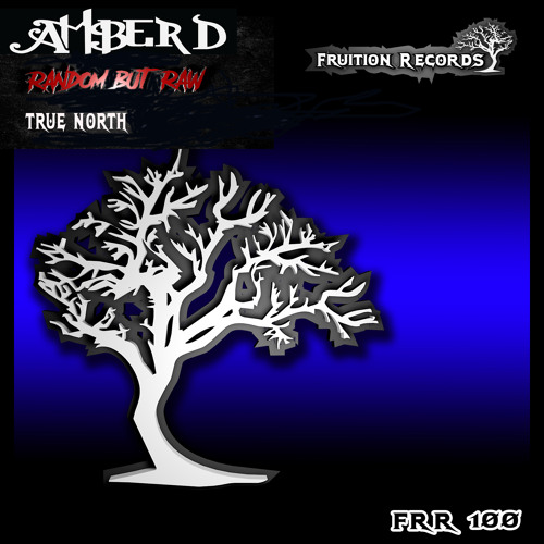Random But Raw, Amber D - True North [Fruition Records]