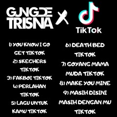 TIKTOK TIME ( YOU KNOW I GO GET X SKECHERS) - DJ GUNGDE TRISNA