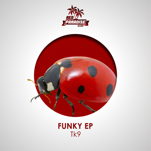 TK9 - Funky (Original Mix)