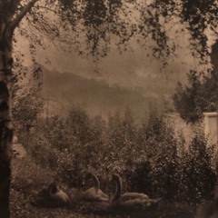 Not going anywhere (recorded at lighthousestudio)