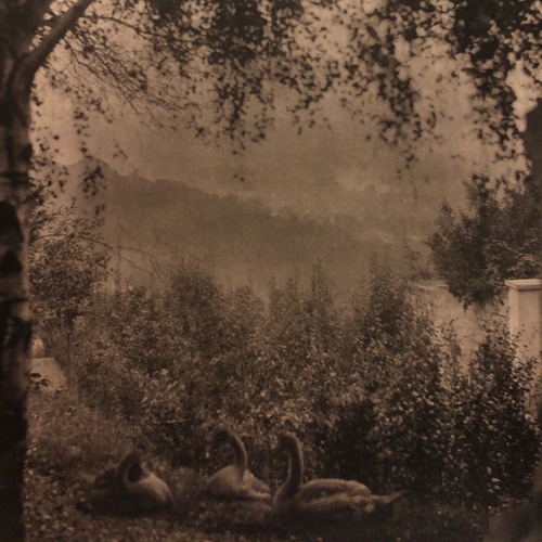 Not going anywhere (recorded at lighthousestudio)