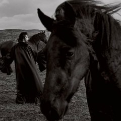 رفاق على هذا الحجر ~ وديع سعادة