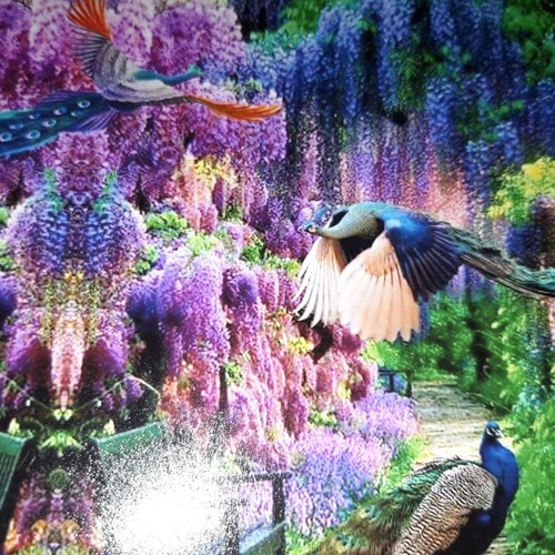 Stream No More by Hope Arise | Listen online for free on SoundCloud No More
