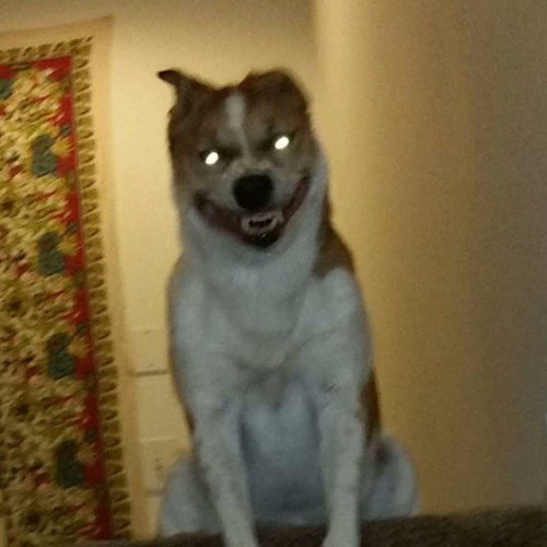 ⛧Hellbound⛧[Mix]