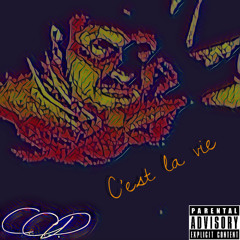 C’est La Vie (single)