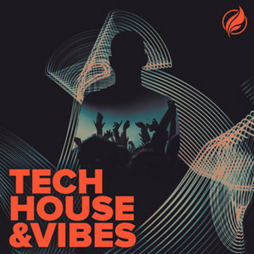 Tech House & Vibes 2020