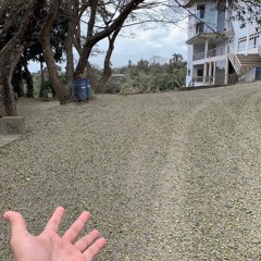 A Change of Heart (The 1975)