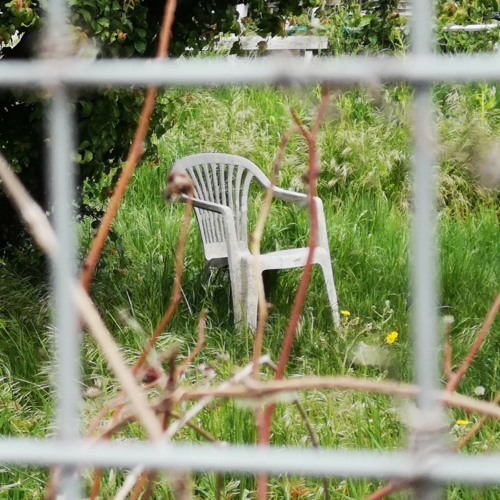 Pasolini - Last Dreams before Dying