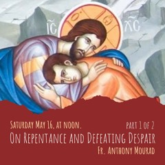 On Repentance and Defeating Despair : part 1 - Fr. Anthony Mourad