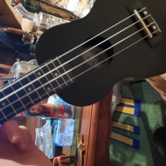 I just bought a ukulele..