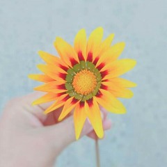 المنشاوي Untitled Playlist