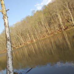 (Hopefully) My BRAIN.  By *Clayton*