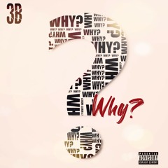 3B - Why?