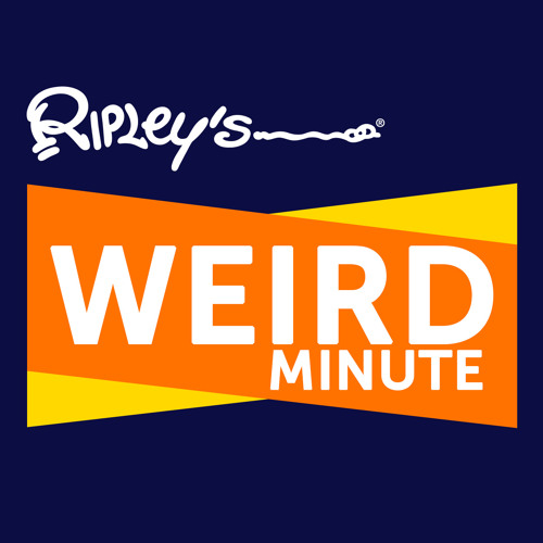 Phone Booth Stuffing By Ripley S Weird Minute Phone Booth Stuffing By Ripley S Weird Minute
