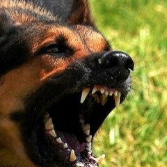 Jobvite & iCIMS Attack!