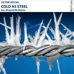 Victor Special - Cold as Steel (Original Mix)