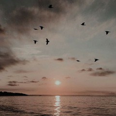 العيد انت وكل ايامي وهل كان السرور مسخرا أم سخرك