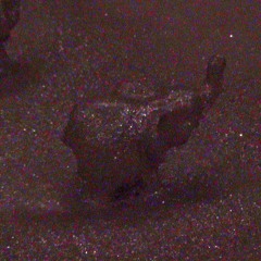 Forever Be Strong and Get Along