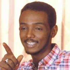 محمود عبدالعزيز _ قنوعة