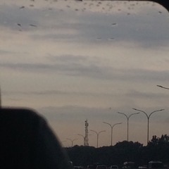 orbit - nao (ft. my bad guitar skills)