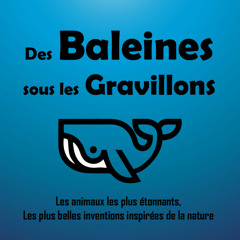 S01E03 Pangolin: la carapace était presque parfaite