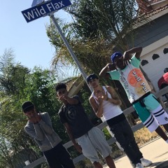 bl5cc cr7p freestyle
