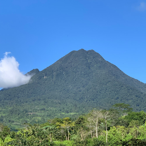 Stream Electronic Music Background Music Grade 10 Quarter 1 by