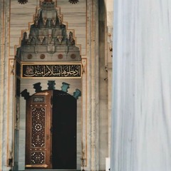المنظومة الهائية، للشيخ حافظ الحكمي؛ بصوت أبو هريرة الليبي🌿🕊
