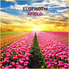 SHM070 : Elgfrothi - Afield (Original Mix)