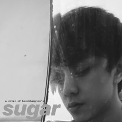 sugar by brockhampton (cover)